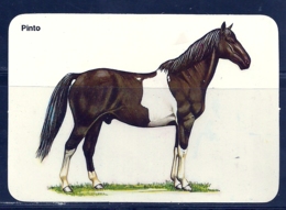 1990 Pocket Calendar Calandrier Calendario Portugal Cavalo Horse Caballo Cheval Pinto - Grand Format : 1981-90