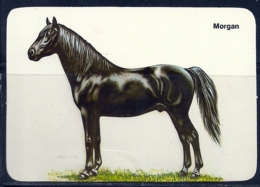 1990 Pocket Calendar Calandrier Calendario Portugal Cavalo Horse Caballo Cheval Morgan - Grand Format : 1981-90