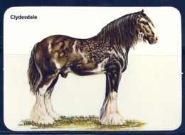 1990 Pocket Calendar Calandrier Calendario Portugal Cavalo Horse Caballo Cheval Clydesdale - Grand Format : 1981-90