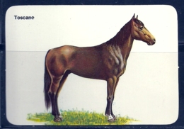 1990 Pocket Calendar Calandrier Calendario Portugal Cavalo Horse Caballo Cheval Toscano - Grand Format : 1981-90
