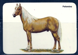 1990 Pocket Calendar Calandrier Calendario Portugal Cavalo Horse Caballo Cheval Palomino - Grand Format : 1981-90