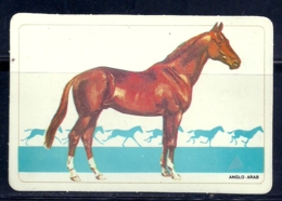 1986 Pocket Calendar Calandrier Calendario Portugal Cavalo Horse Caballo Cheval - Grand Format : 1981-90