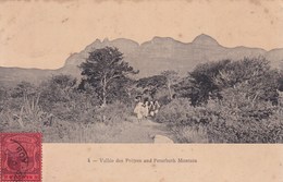 CPA  Vallée Des Prétres And Peterboth Montain Animée Timbre 1908 - Maurice