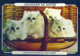 1986 Pocket Calendar Calandrier Calendario Portugal Gato Cat Chat - Grand Format : 1981-90