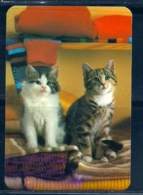 1988 Pocket Calendar Calandrier Calendario Portugal Gato Cat Chat - Grand Format : 1981-90