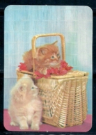 1988 Pocket Calendar Calandrier Calendario Portugal Gato Cat Chat - Grand Format : 1981-90