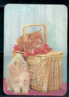 1988 Pocket Calendar Calandrier Calendario Portugal Gato Cat Chat - Grand Format : 1981-90