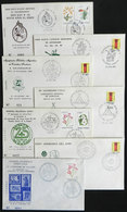 TOPIC SCOUTS: 19 Covers Of Argentina With Special Postmarks, VF Quality! - Other & Unclassified