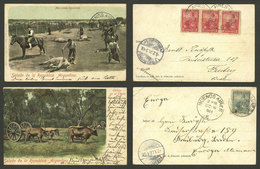 ARGENTINA: CATTLE: Marking Cows And Chaco Rural Scene, Both Edited By Enrique Moody And Sent To Germany In 1901, Very Ni - Argentine