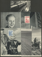 ARGENTINA: PERONISM: Set Of 7 Cards Of The Exhibition "Perón And Land", All With Very Interesting Views, Several With Sp - Argentine