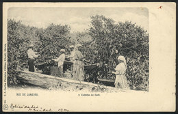 BRAZIL: COFFEE Harvest In Rio De Janeiro, Ed. Künzli, Sent From London To Argentina On 8/DE/1904, VF Quality - Sonstige & Ohne Zuordnung