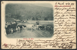 BRAZIL: Oxen-driven Cart, Sent From Sao Paulo To Germany On 4/NO/1899, VF Quality - Sonstige & Ohne Zuordnung