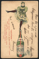 BRAZIL: Mineral Water "Salutaris", Advertising PC Used On 29/JA/1908, Minor Defects" - Sonstige & Ohne Zuordnung