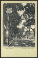 BRAZIL: PARÁ: S. Jeronymo Avenue, Circa 1905, VF Quality - Autres & Non Classés