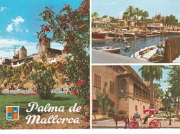 PALMA DE MALLORCA MULTIVUES (dil449) - Mallorca