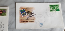 BIRD Mostra Filatelica AVIFAUNA Ravenna Birds 1972 Annullo Cancel Postmark - Obliteraciones & Sellados Mecánicos (Publicitarios)