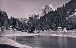 Lac Tanay Sur Vouvry, Restaurant Du Grammont, L. Steiner Propiétaire (58501) - Vouvry