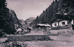 Delcampe - Tanay Sur Vouvry VS, Restaurant Du Grammont, L. Steiner Propiétaire (4916) - Vouvry