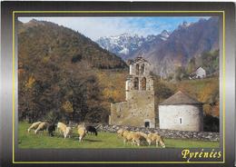 Pyrénées - Aragnouet - Chapelle Des Templiers - Moutons - Aragnouet
