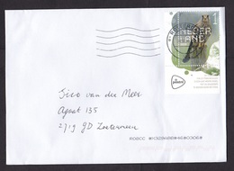 Netherlands: Cover, 2020, 1 Stamp + Tab, Tower Falcon, Bird, Animal (traces Of Use) - Cartas