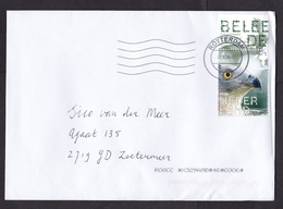Netherlands: Cover, 2020, 1 Stamp + Tab, Honey Buzzard, Osprey Bird, Animal (traces Of Use) - Briefe U. Dokumente