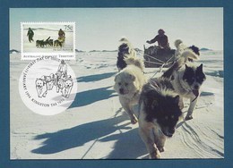 Australian Antarctic Territory 1994 Mi.Nr. 99 , The Last Huskie - Maximum Card - First Day Of Issue 13 January 1994 - Cartoline Maximum