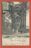 ALEXANDRIE CARTE POSTALE AFFRANCHIE DE 1903 POUR SAINT JEAN D'ANGELY FRANCE - Storia Postale