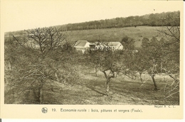 CP De FAULX " Economie Rurale , Bois , Pâtures Et Vergers " - Gesves