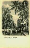 Inde   Bombay    A Palm Grove - Inde