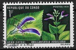 Congo People's Republic 1970. Scott #222 (U) Plant, Brillantaisia Vogeliana - Oblitérés