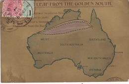 AUSTRALIA / GUM LEAF FROM THE GOLDEN SOUTH / SERIE 126 / CIRC 1907 - Otros & Sin Clasificación