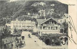 Pays Div Ref X377- Suisse - Meyringen - Hotel Bahnhof   - - Meyrin