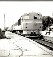 Photographie D'une Locomotive DE 1009 - Reproduction - Treinen