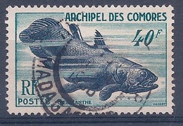 COMORES - 13  COELACANTHE OBL USED COTE 20 EUR - Used Stamps