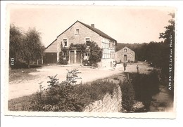 - 1644 -     EREZEE  AMONINES Le Vieux Moulin (  Photo  Carte  Mosa ) - Erezée