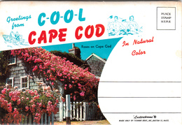 Vintage 1945-1955 - Greetings From Cape Cod Massachusetts - Souvenir Folder With 12 Views - Unused - Cape Cod