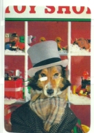1988 Pocket Calendar Calandrier Calendario Portugal Caẽs Dogs Perros Chien - Grand Format : 1981-90