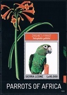 Bloc Sheet Oiseaux Perroquets Birds Parrots  Neuf MNH ** Sierra Leone 2013 - Pappagalli & Tropicali