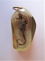 Pendentif Avec Hippocampe Fossilisé - Anhänger