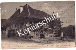 Bären In Münsingen  1905    (z1666) - Münsingen