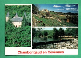 30 Gard Chamborigaud En Cevennes Carte Postale Multivues - Chamborigaud