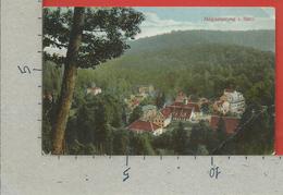 CARTOLINA NV GERMANIA - MAGDESPRUNG I. Harz. - 9 X 14 - Harzgerode