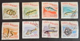 ROUMANIE YT 2001/2008 OBLITERE "POISSONS" ANNEE 1964 - Used Stamps
