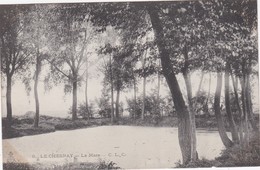 FRANCE - CARTE POSTALE - LE CHESNAY - LA MARE - Le Chesnay