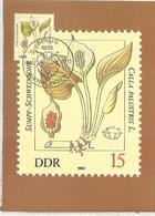 ALEMANIA DDR PLANTAS VENENOSAS VEGETAL - Giftige Planten