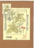 ALEMANIA DDR PLANTAS VENENOSAS VEGETAL - Giftige Pflanzen