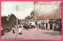 Cp Système 12 Vues - Leporello - Souvenir Colwyn Bay - Abergele Road - Valise - Edit. PHOTOCHROM Co - 1910 - Multivues - Denbighshire