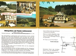 LANDWASSERECK Bei Elzach Oberprechtal 4-geteilte Doppelkarte 1962 " Höhengasthaus Landwassereck " - Elzach