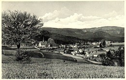 HINTERHERMSDORF Sächs.Schweiz 1935 " Ortsansicht " Bedarf Mit Hindenburg > Dresden - Bastei (sächs. Schweiz)