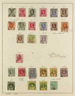 1900 - 1953 EXTENSIVE FINE USED COLLECTION Written Up On Album Pages With Many Complete Sets And Better Values And Inclu - Cayman (Isole)